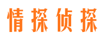 镜湖市侦探调查公司